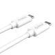 Cáp sạc, truyền dữ liệu Type C to Type C Orico-CTC100-10-WH Cáp sạc, truyền dữ liệu Type C to Type C Orico-CTC100-10-WH