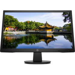 Màn hình LCD HP V22v (450M4AA)
