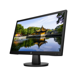 Màn hình LCD HP V22v (450M4AA)