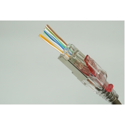 Đầu mạng xuyên thấu DINTEK ezi-PLUG RJ45 (1501-88060)